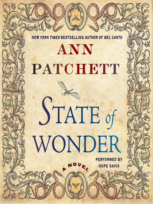 Cover image for State of Wonder